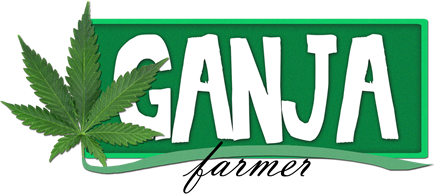 Ganja-Logo